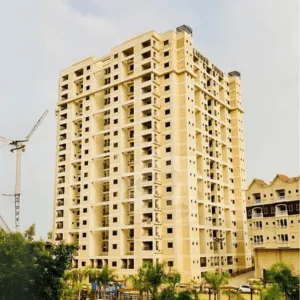 Untitled-design-15-1